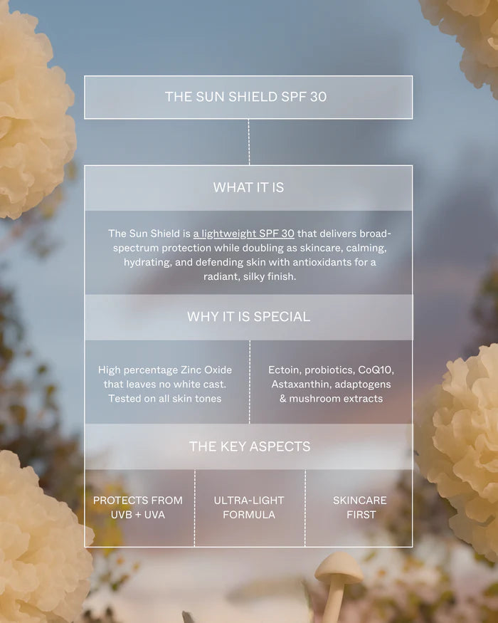 The Sun Shield SPF 30